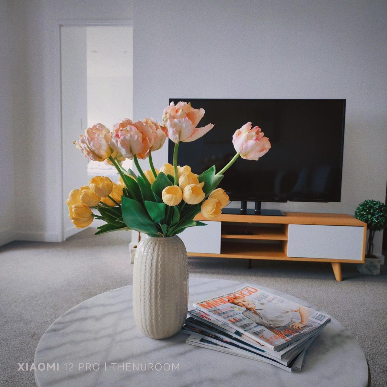 Auckland Birkenhead Bnb Eksteriør bilde